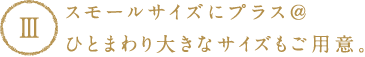 スモールサイズにプラス@ひとまわり大きなサイズもご用意。